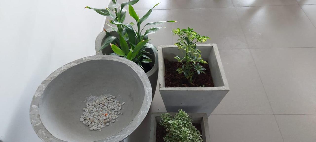 מלון Jays Guest - Rajagiriya Colombo מראה חיצוני תמונה
